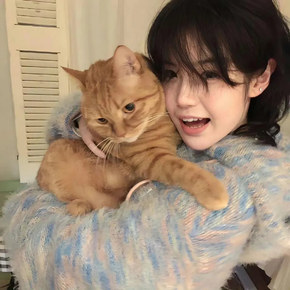 九彩霸王花粤语